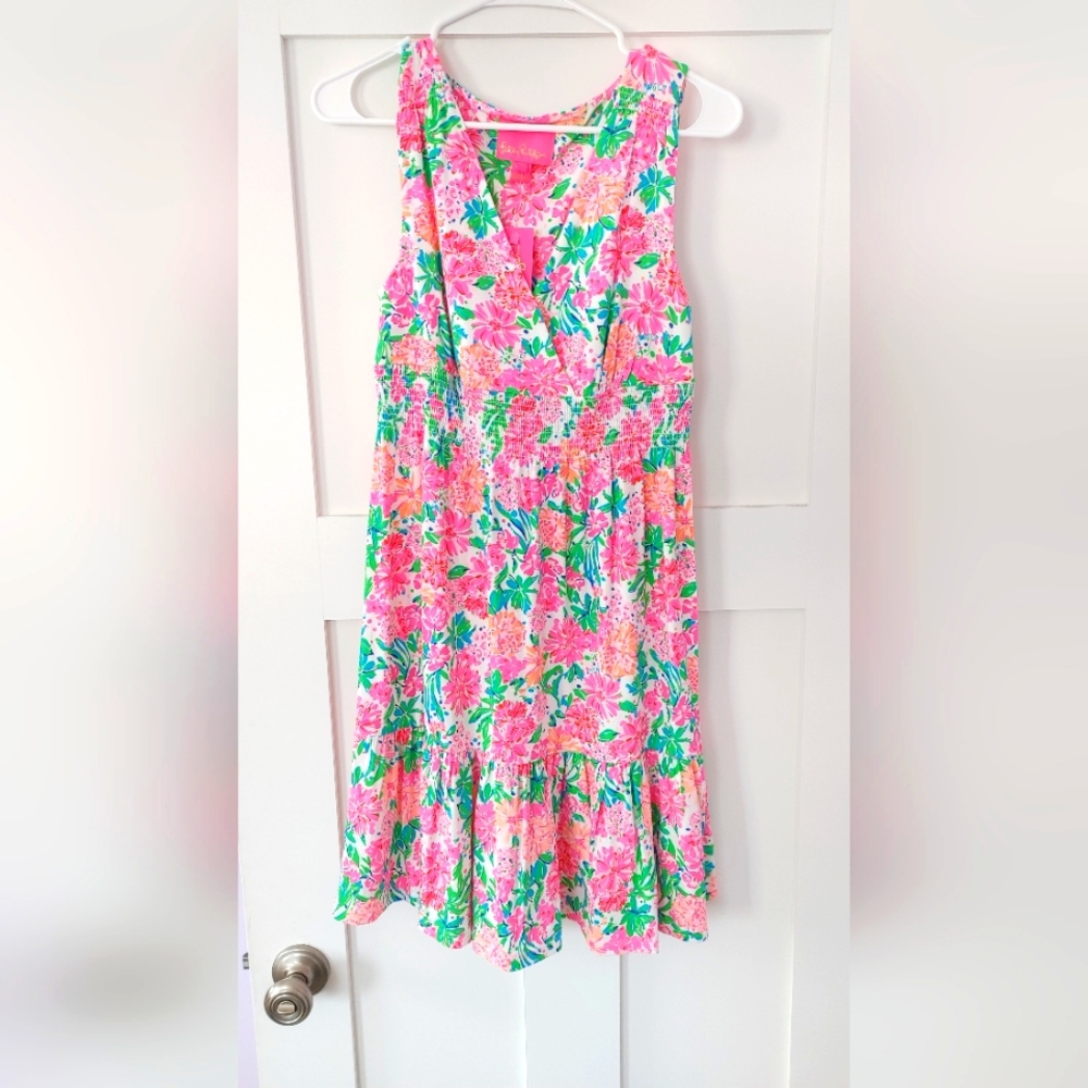 NWT Lilly Pulitzer Vignette ruffle dress